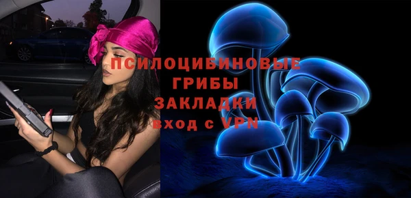 стаф Арсеньев