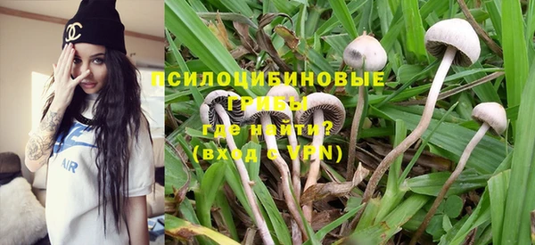 стаф Арсеньев