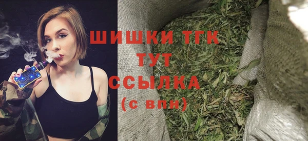 амф Протвино