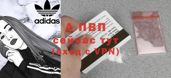 стаф Арсеньев