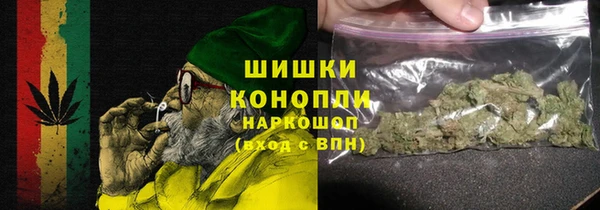 стаф Арсеньев