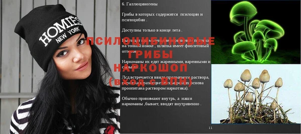 apvp Аркадак